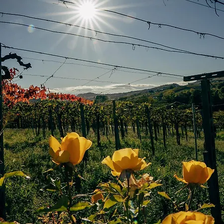 Baldovino 3* Villamagna (Abruzzo)