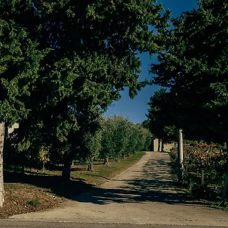 Гостевой дом Baldovino