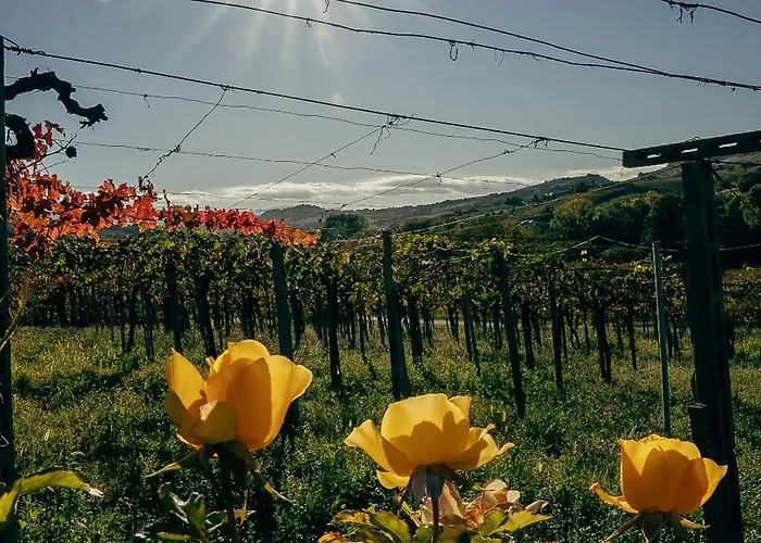 Baldovino 3* Villamagna (Abruzzo)