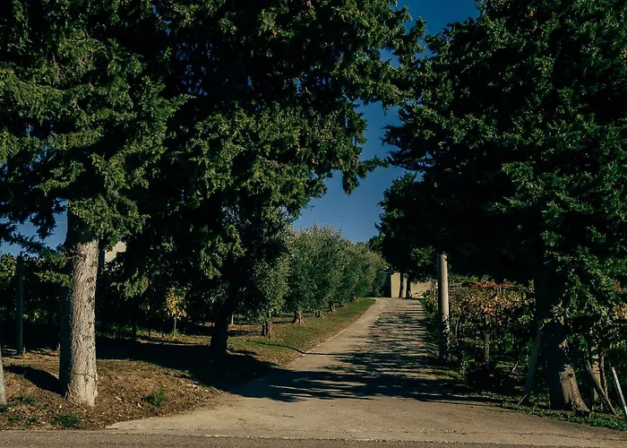 בית הארחה Baldovino